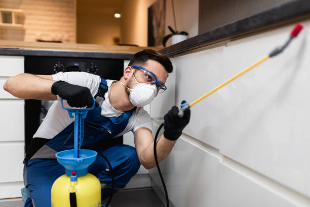 Best Cockroach Control Services  in Leominster, MA