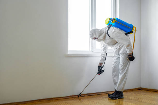 Best Pest Control Near Me in Leominster, MA