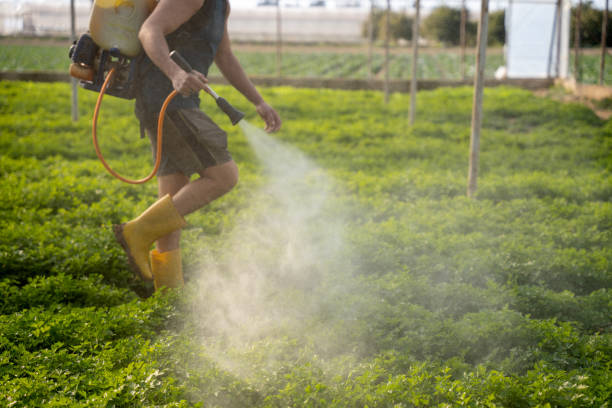 Best Affordable Pest Control Services  in Leominster, MA