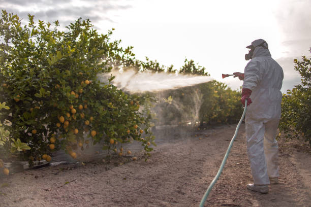 Best Ant Control Services  in Leominster, MA