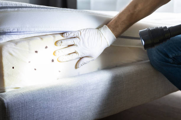 Pest Control Cost in Leominster, MA
