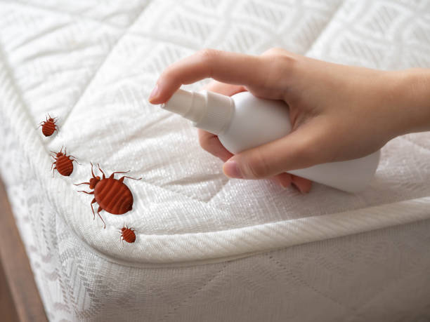Best Insect Control  in Leominster, MA