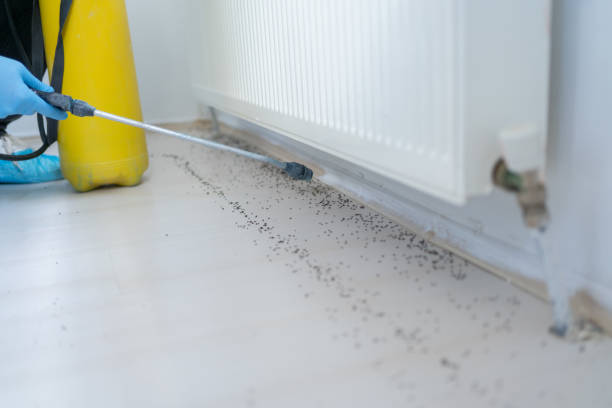 Best Exterminator Services  in Leominster, MA
