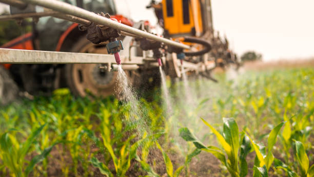 Best Commercial Pest Control Services  in Leominster, MA